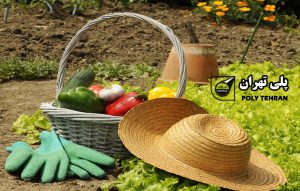 کاربرد هورمون در باغبانی